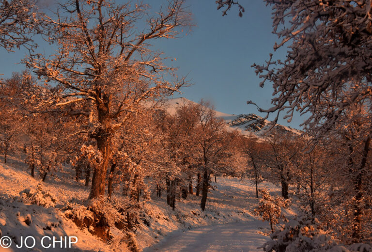 GET SNAPPY: Magic light in La Alpujarra of Spain's Andalucia