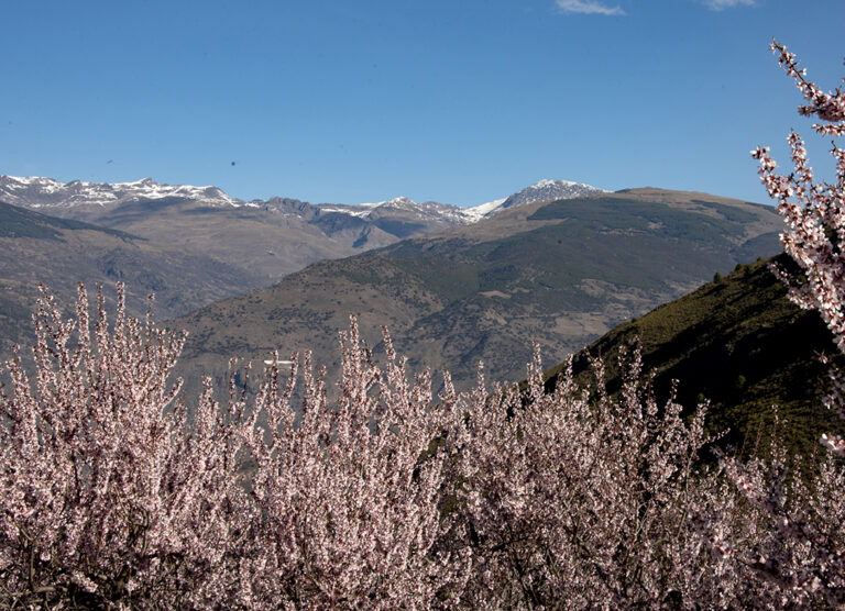 OVER THE HILLS: A trip to the Sierra de Contraviesa in the 'low' Alpujarra of Spain’s Granada
