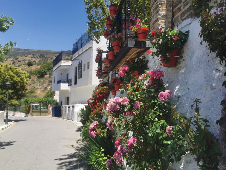 10 things visitors should not miss in La Alpujarra of Spain's Granada
