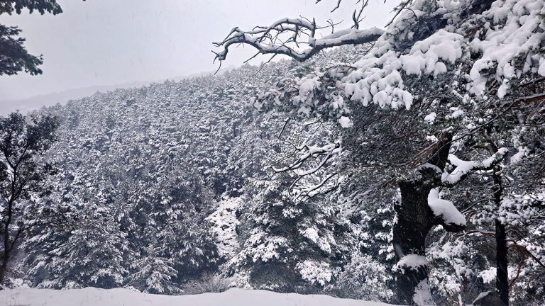 Storm Jana fills Malaga's reservoirs and Granada's ski slopes