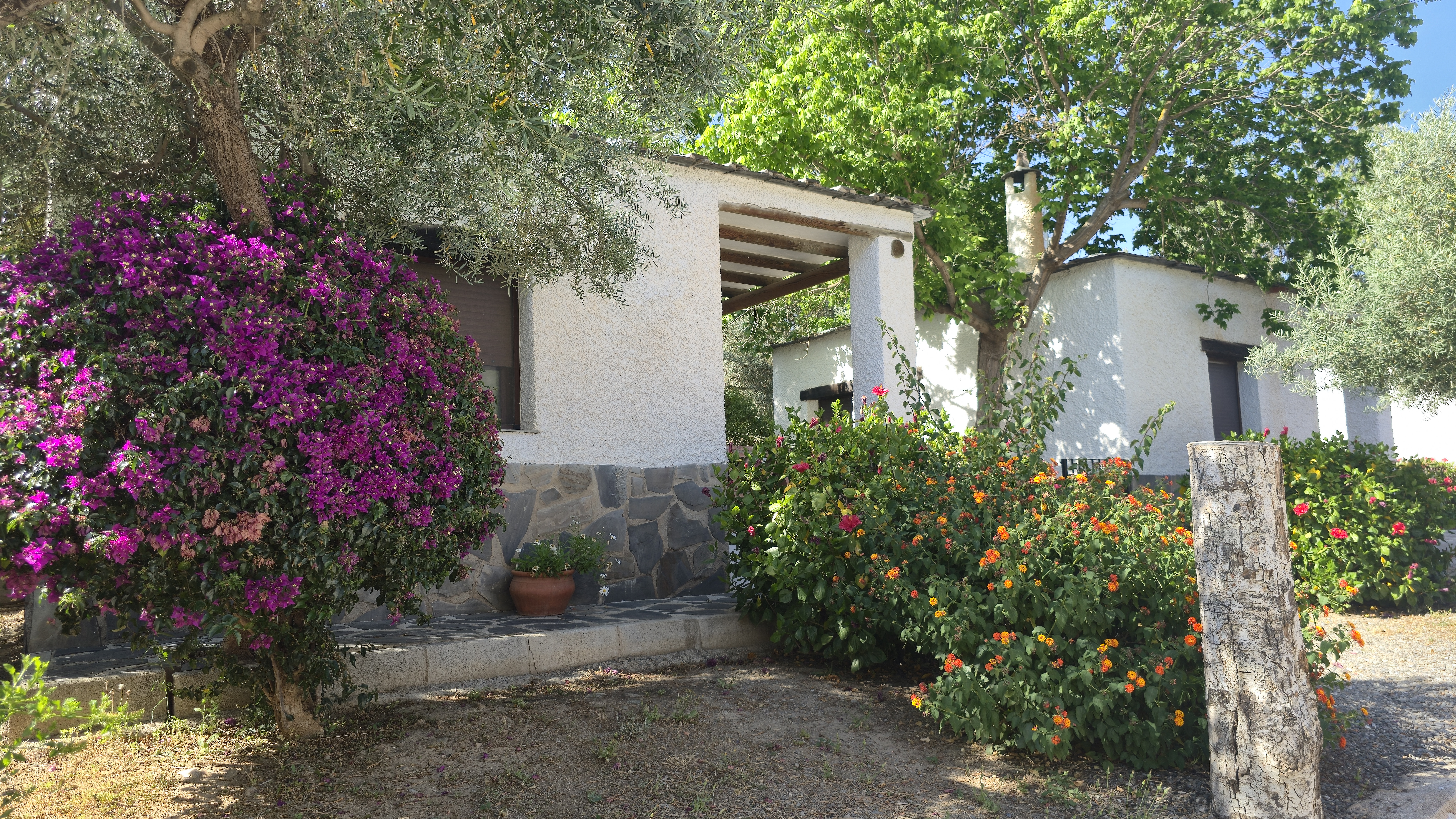 camping orgiva bungalows