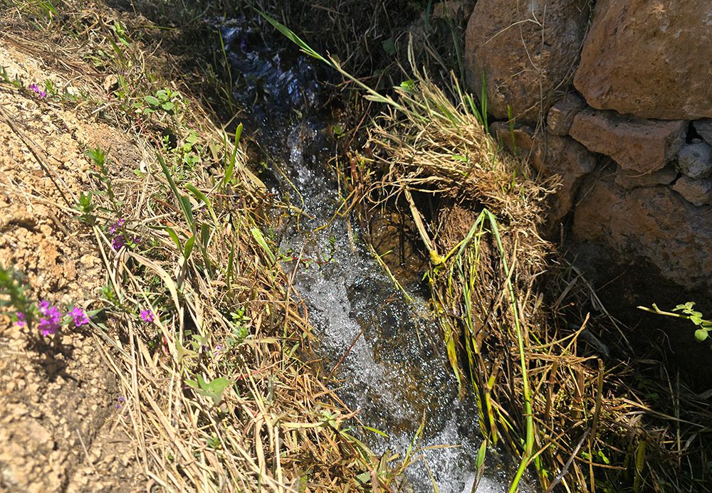 acequia