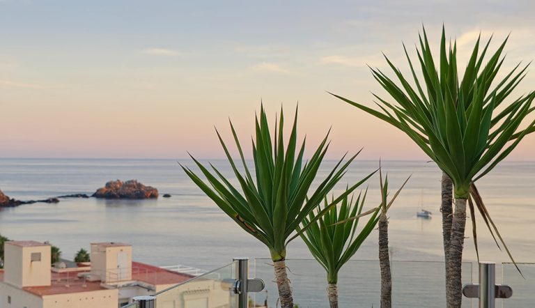 Granada and Costa Tropical Property Market