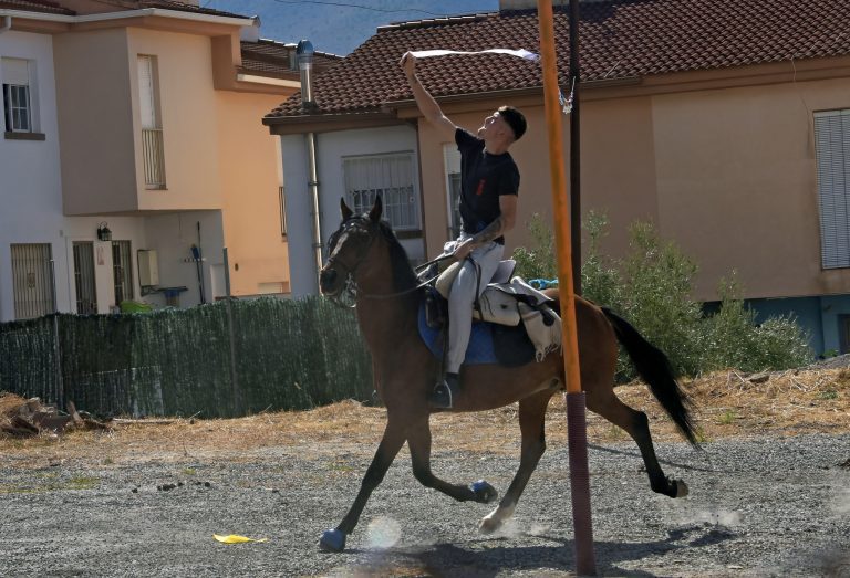 carrera de cintas de caballo