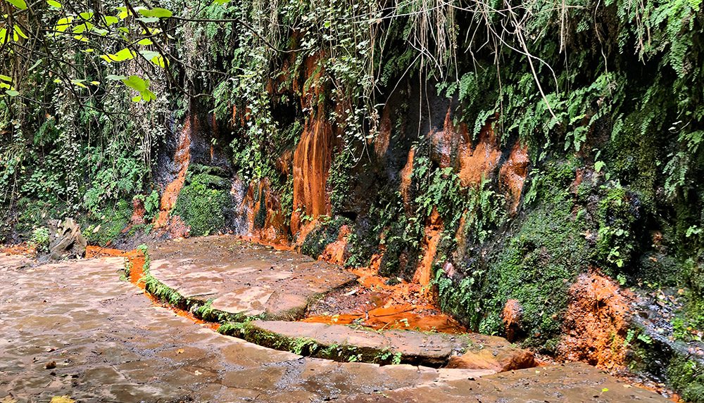 fuente agria portugos