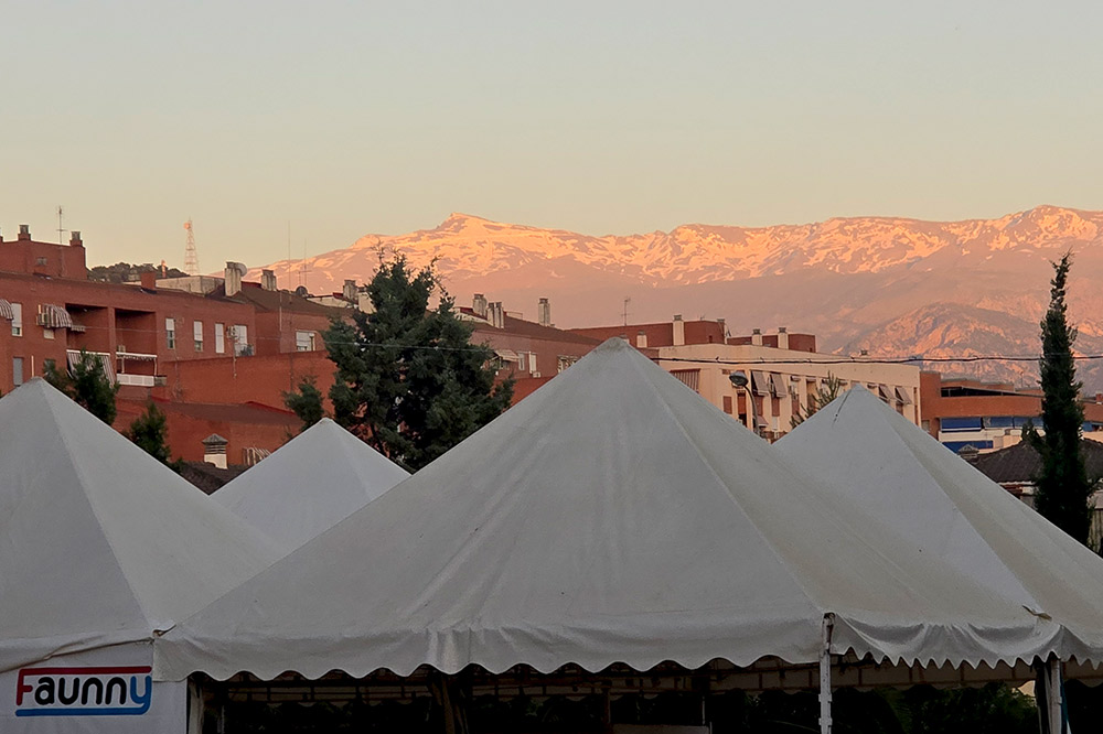 corpus granada 16