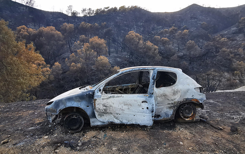 wildfires escaping